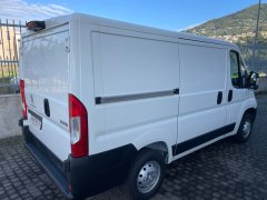 boxer gc206aa 3.jpg